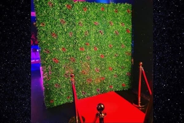 Flower Wall