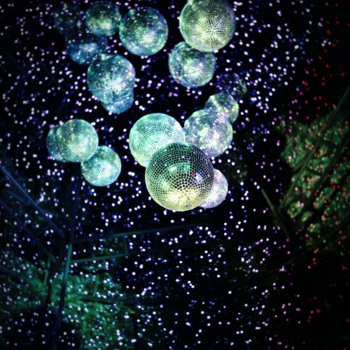 fidel-fernando-249DzAuJTqQ-unsplash (1)